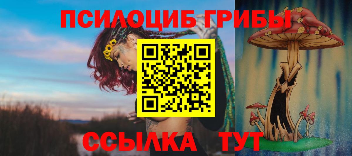 Псилоцибиновые грибы Psilocybine cubensis  Вход с VPN  Сланцы  Псилоцибиновые грибы Magic Shrooms 